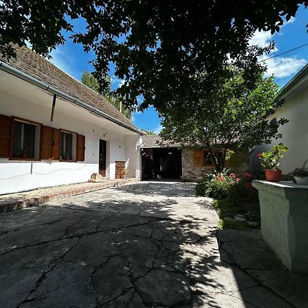 Oaza Mira Porodicna Kuca Za Opustanje Villa Apatin Esterno foto