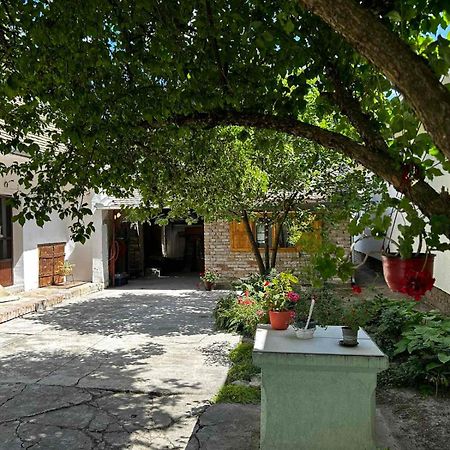 Oaza Mira Porodicna Kuca Za Opustanje Villa Apatin Esterno foto