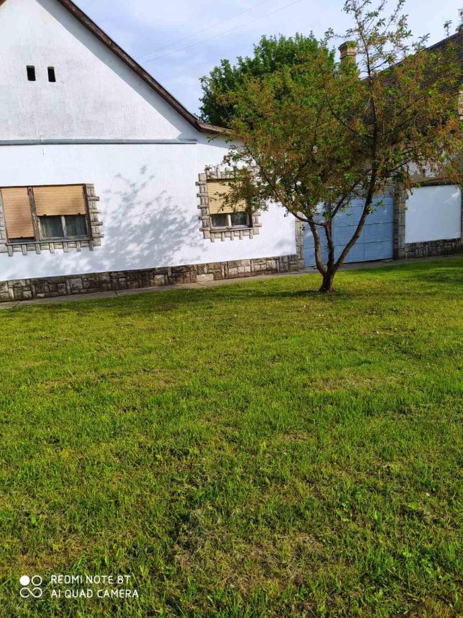 Oaza Mira Porodicna Kuca Za Opustanje Villa Apatin Esterno foto