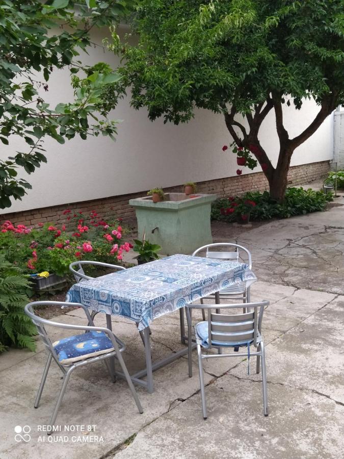 Oaza Mira Porodicna Kuca Za Opustanje Villa Apatin Esterno foto