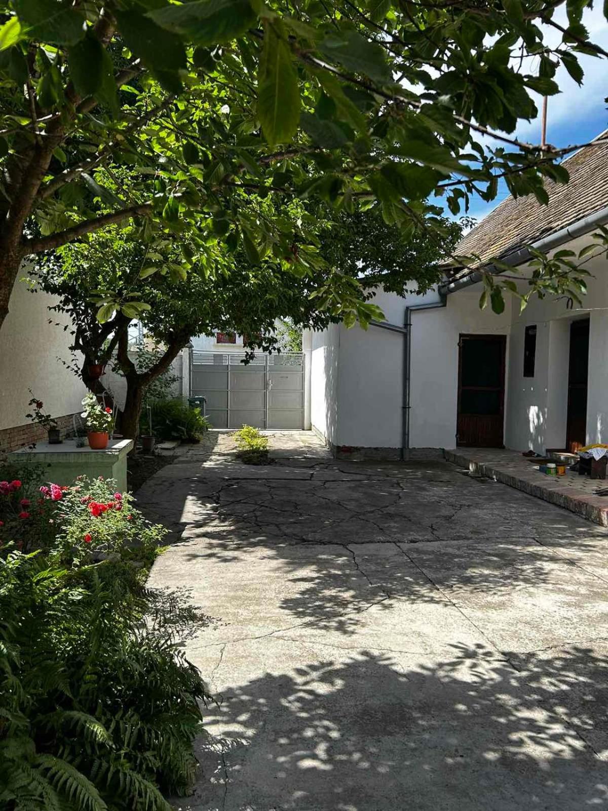 Oaza Mira Porodicna Kuca Za Opustanje Villa Apatin Esterno foto