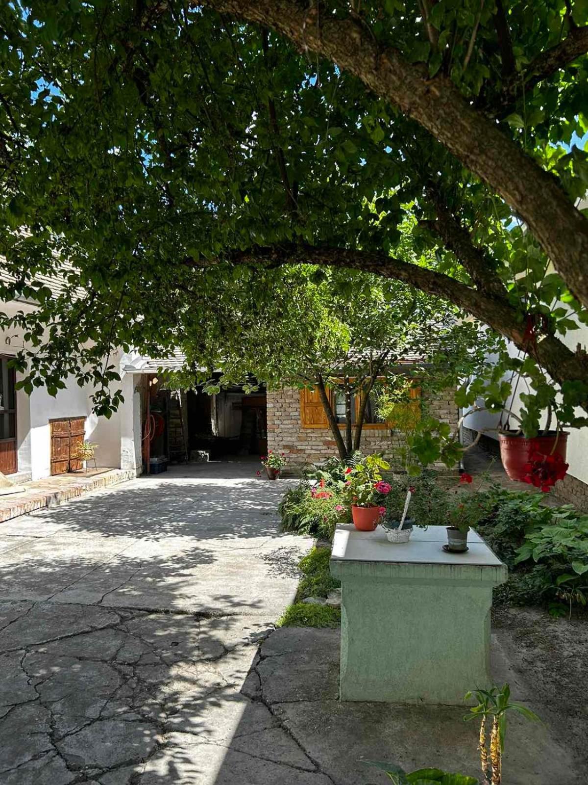 Oaza Mira Porodicna Kuca Za Opustanje Villa Apatin Esterno foto